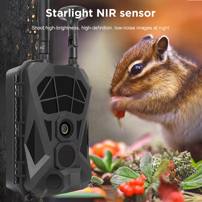 Outdoor Hunting Camera Wireless - Câmera de trilha 4G GPS sem