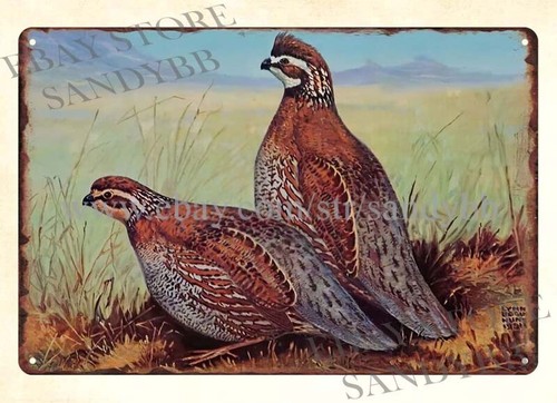 Hunting Quail - Placa de metal decorativa para parede