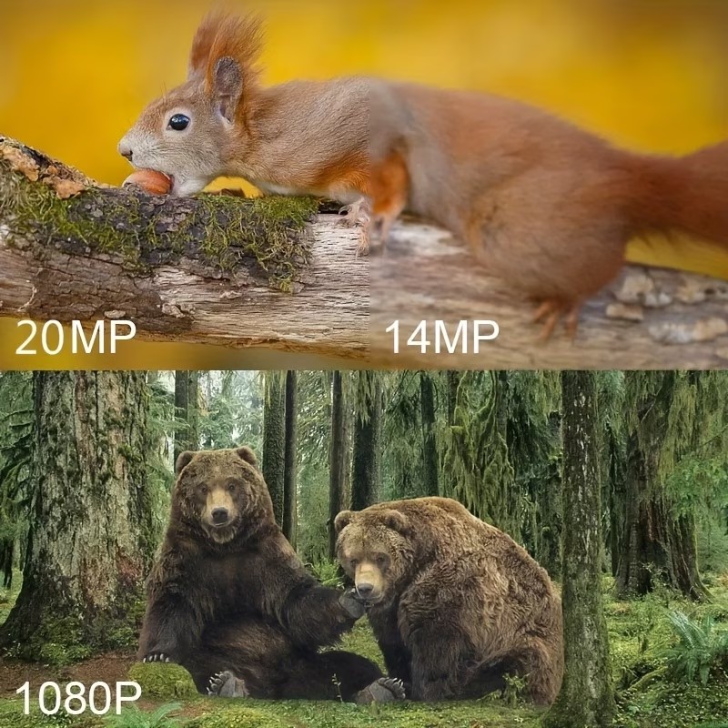 Câmera de trilha para caça ao  - Outdoor Hunting Camera Wireless avaliação e preço
