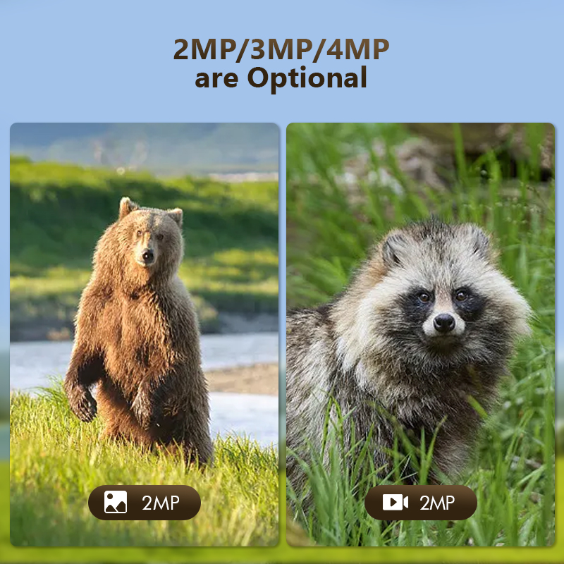 Câmera de jogo de trilha de ca - Outdoor Hunting Camera Wireless avaliação e preço