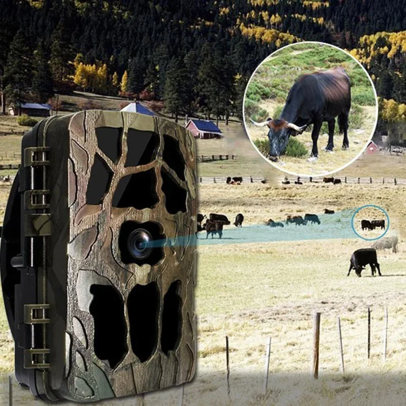 H982 IP66 à prova d'água 4K in - Outdoor Hunting Camera Wireless avaliação e preço